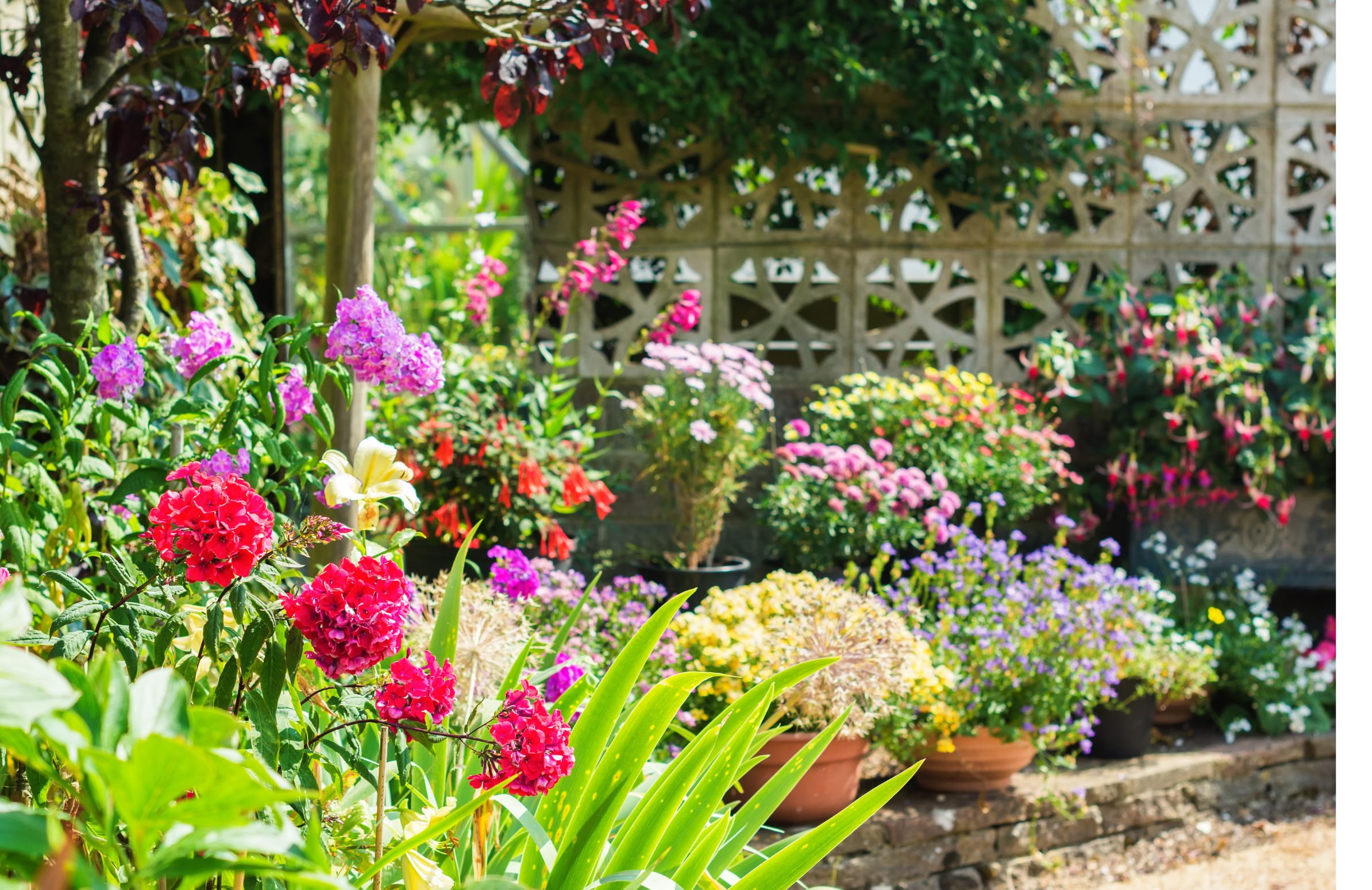 Droitwich Spa Flower Show Returns: A Day of Blooms, Crafts, and Family Fun