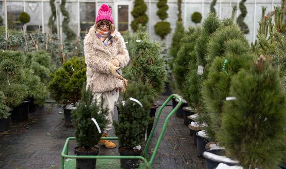 Plant import