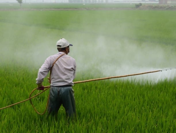 Pesticides Horticulture