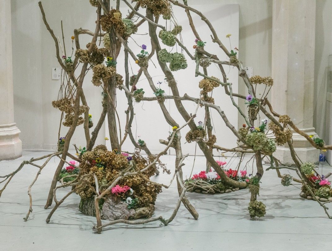 UK Winter Flowers Celebration 2024