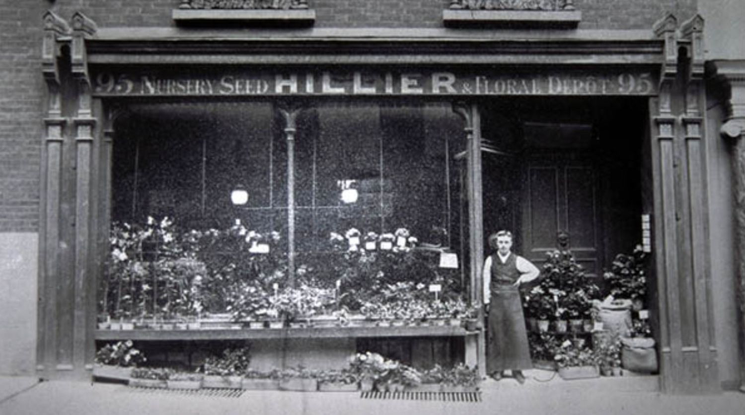 Hillier Nurseries by His Majesty King Charles III