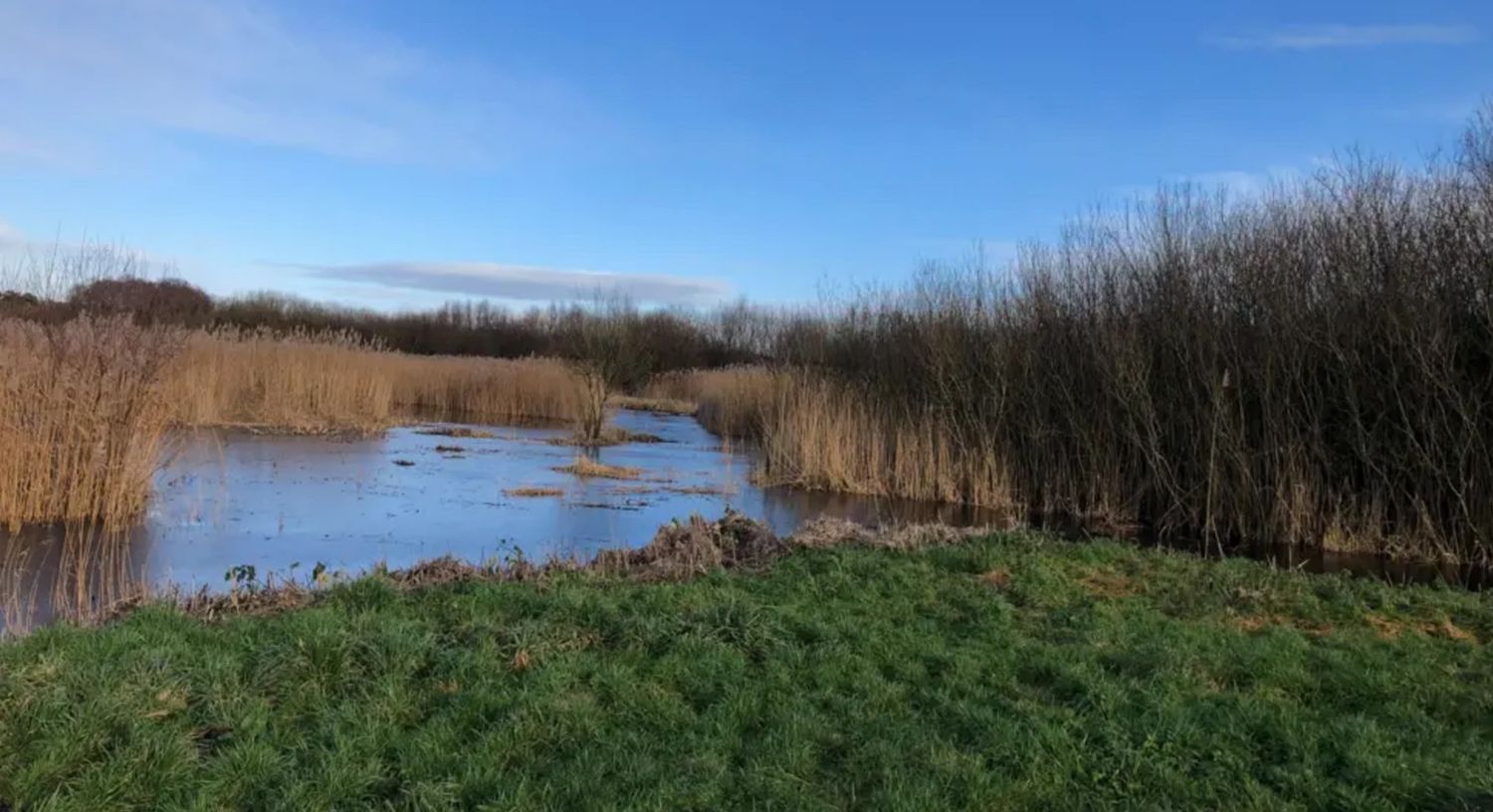 Peat Ban Debate Heats Up: Somerset MP Pushes for Urgent Action