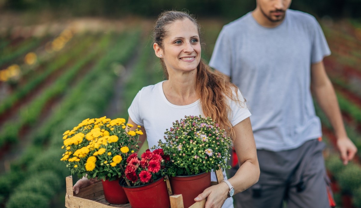 Garden Center Autumn Budget