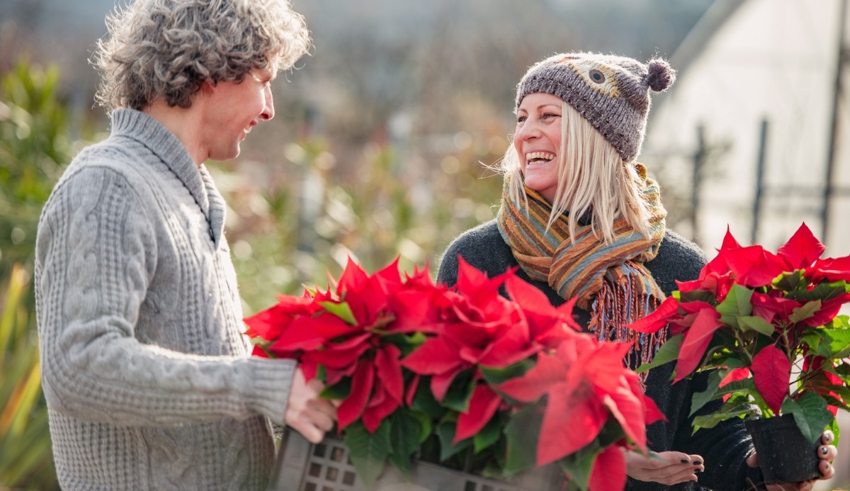Garden Centres Face Tough End to 2024, Hope for Brighter 2025
