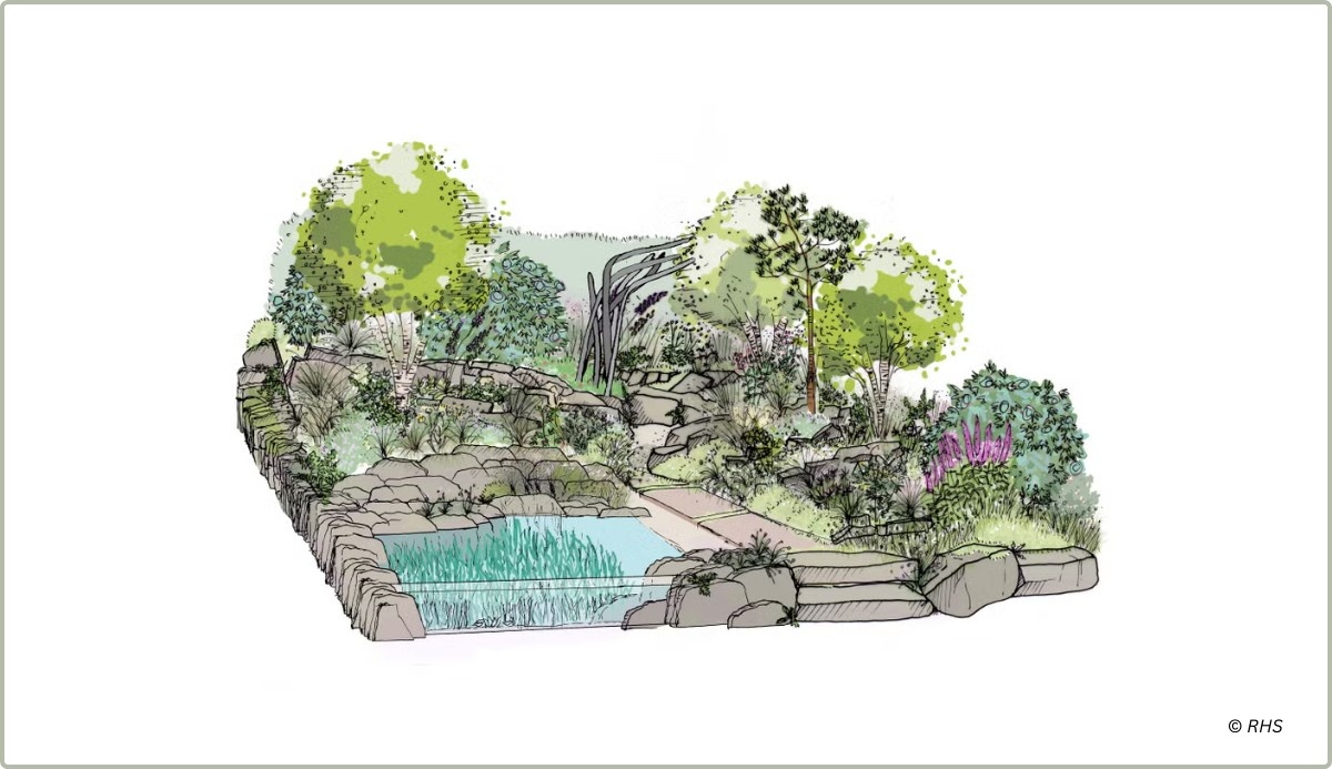 An illustration of the Seawilding Garden at the RHS Chelsea Flower Show 2025