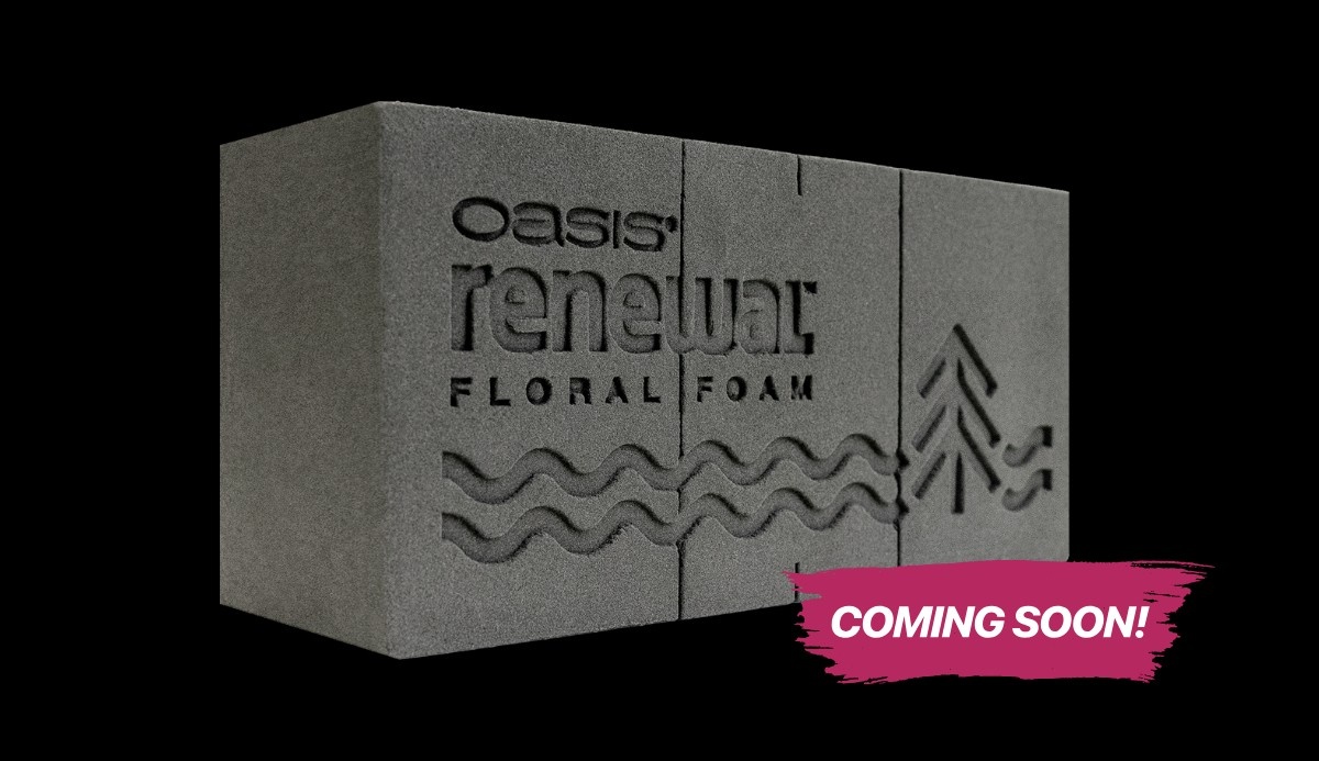 OASIS® Renewal™ Floral Foam