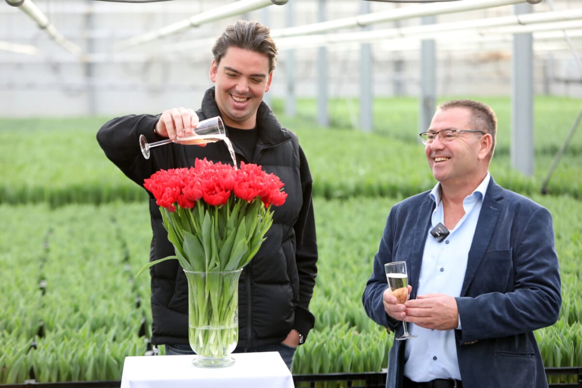 Singer Yves Berendse christened his own tulip on Monday, January 13, 2025: Tulipa 'Yves Berendse'.