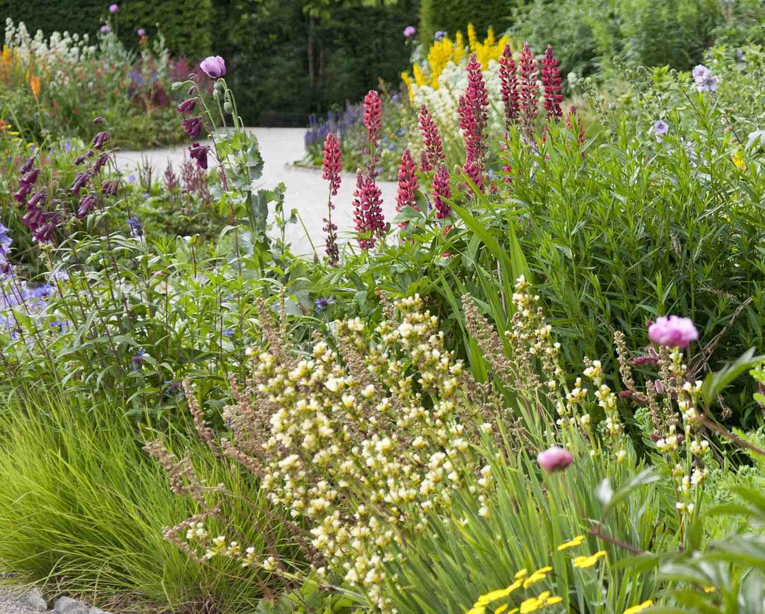 Flower Bulbs and Perennials Lead UK Gardening in 2025