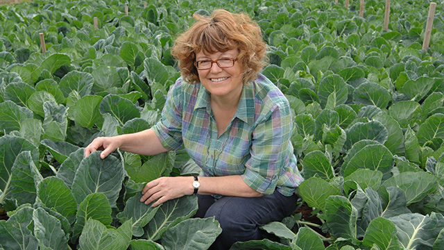 Rosemary Collier Recognized for Horticultural Science Excellence