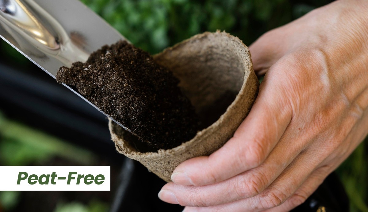 Horticulture Sector Drives the UK Towards Peat-Free Gardening