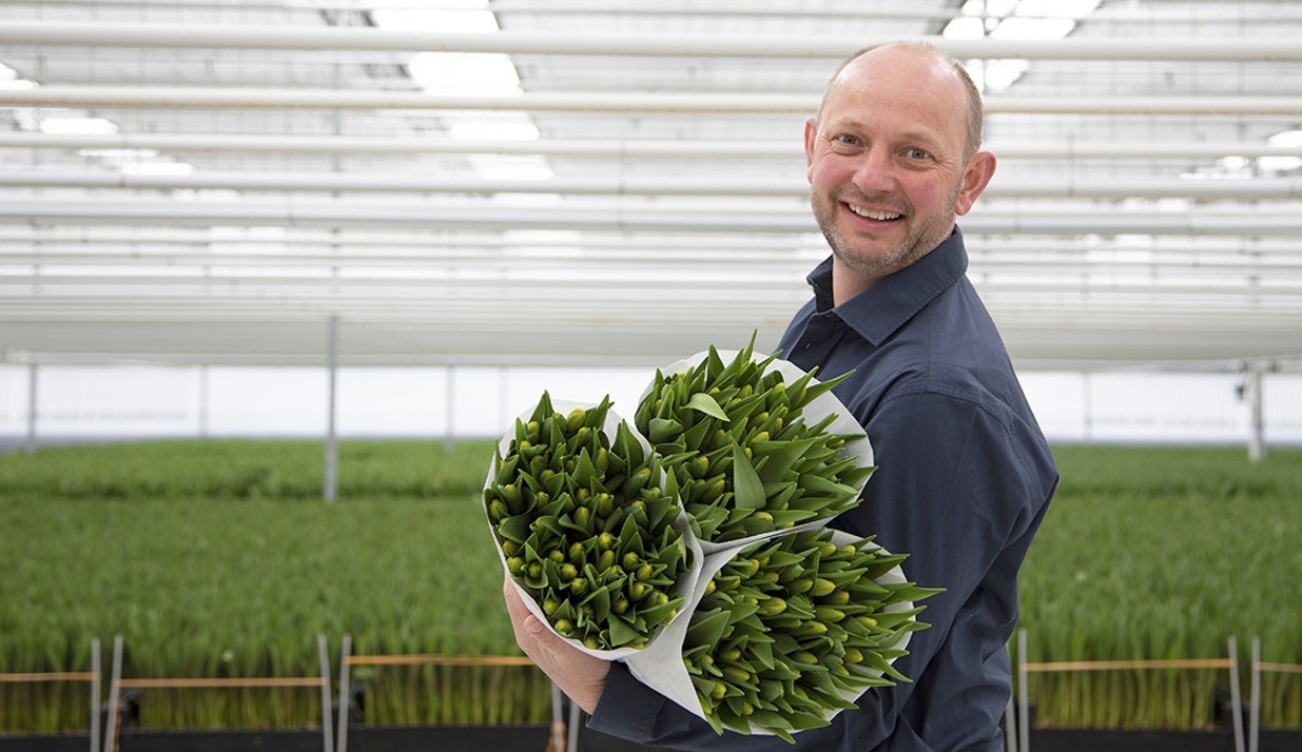 Dutch Tulips Group Opens New Wesselman Flowers Facility in De Kwakel