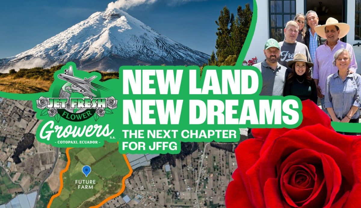 Jet Fresh Flowers Expands: Invests in Sustainable Rose Cultivation