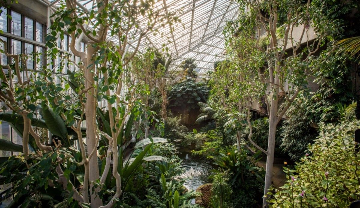 Horticulture Conference 2025: London’s Biggest Green Event