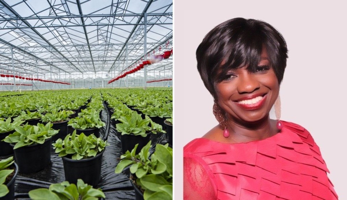 Flamingo Group benoemt Rosalind Kainyah MBE om duurzaamheid te stimuleren