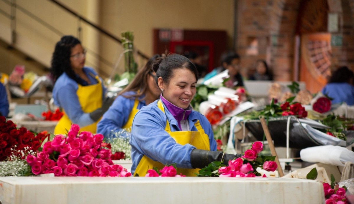 Colombian Flowers: The Petal Plan Behind a Flourishing Industry