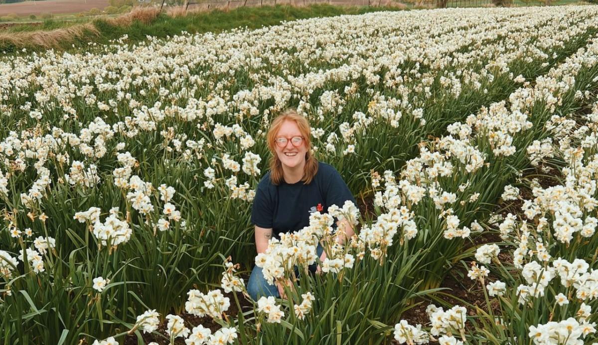UK Flower Industry Faces Climate Change Challenges