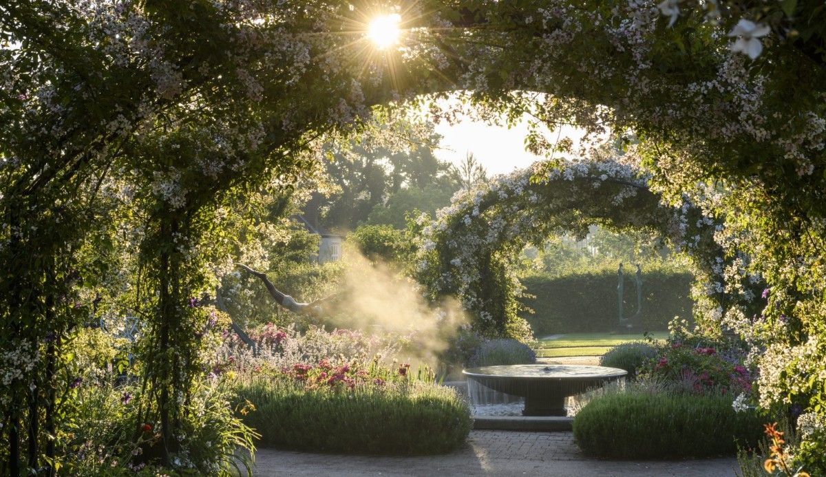 Cambridge Flower Science Ancient Tree Conservation